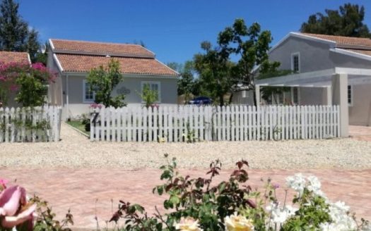 Beau Belle Wine and Olive Estate