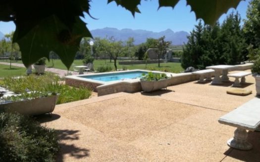 Beau Belle Wine and Olive Estate