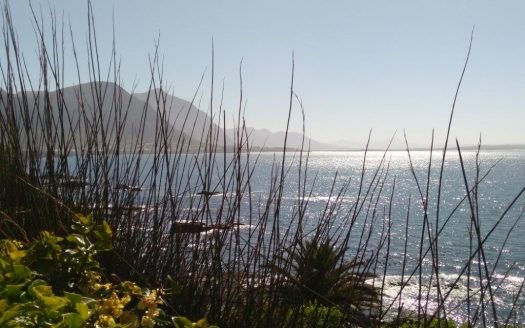 Hermanus – SEAFRONT APARTMENT