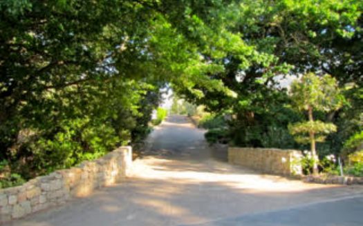 Franschhoek wine farm