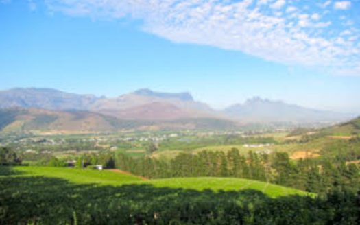 Franschhoek wine farm