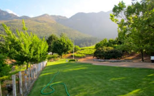 Franschhoek wine farm