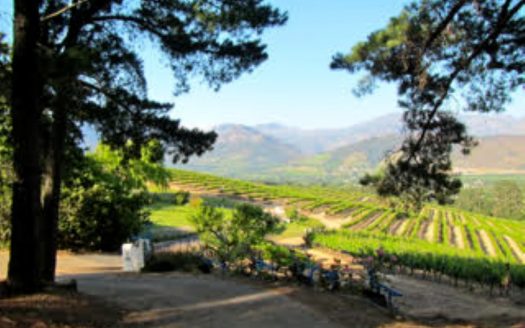 Franschhoek wine farm