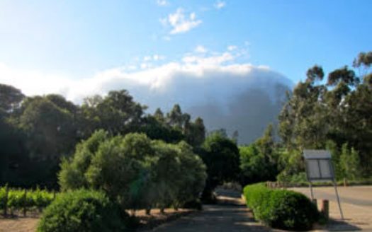 Franschhoek wine farm