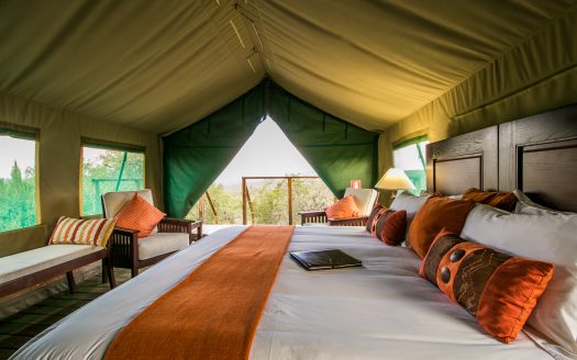 Magnificent Game Farm in Eastern Cape South Africa