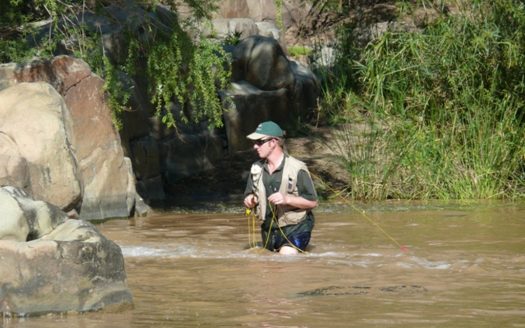 Magnificent Game Farm in Eastern Cape South Africa