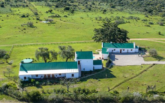 Magnificent Game Farm in Eastern Cape South Africa